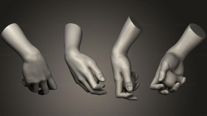 Анатомия скелеты и черепа (Рука Давида Микеланджело, ANTM_0903) 3D модель для ЧПУ станка