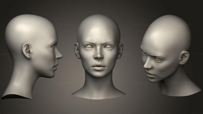 Anatomy of skeletons and skulls (Printable Female Head 10, ANTM_0947) 3D models for cnc