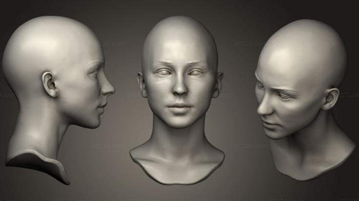 Анатомия скелеты и черепа (Печатаемая Женская головка 11, ANTM_0948) 3D модель для ЧПУ станка
