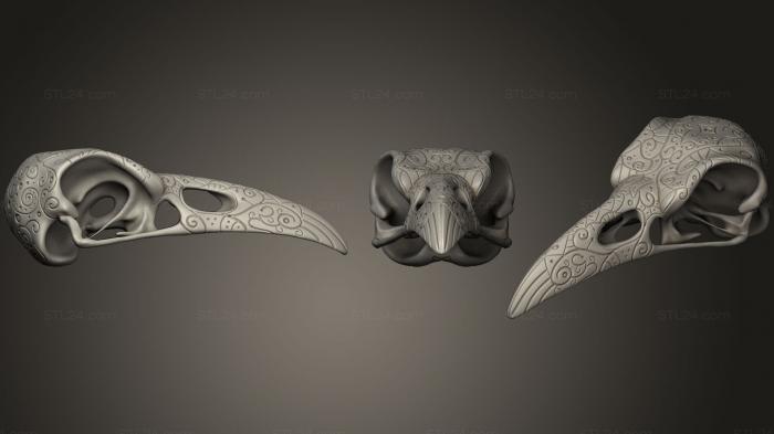 Анатомия скелеты и черепа (Череп ворона с мотивом, ANTM_0955) 3D модель для ЧПУ станка
