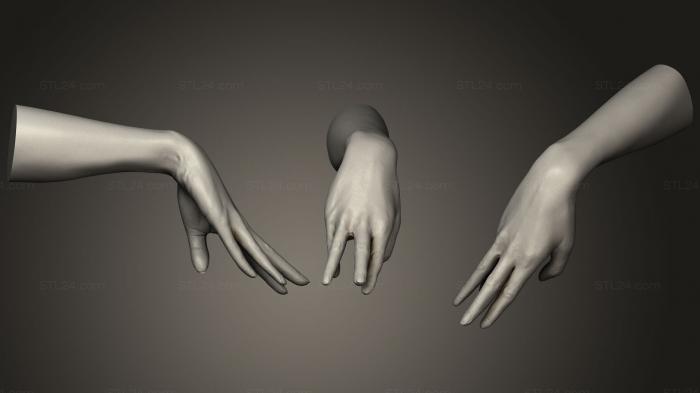 Anatomy of skeletons and skulls (Realistic Female Hand 3, ANTM_0959) 3D models for cnc