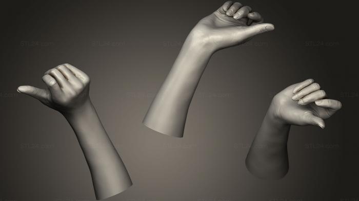 Anatomy of skeletons and skulls (Realistic Female Hand 4, ANTM_0960) 3D models for cnc