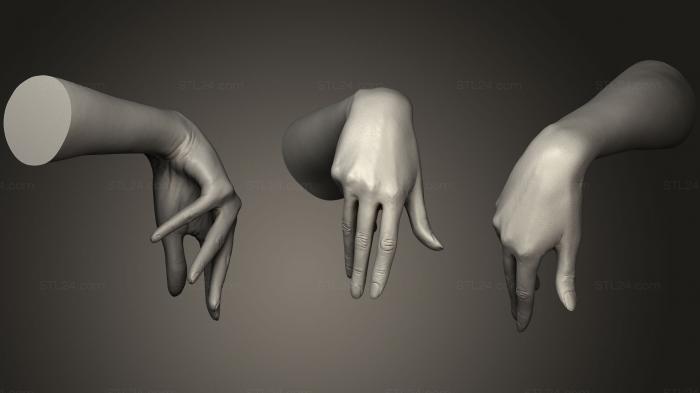 Anatomy of skeletons and skulls (Realistic Female Hand 5, ANTM_0961) 3D models for cnc