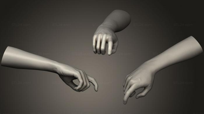 Anatomy of skeletons and skulls (Realistic Female Hand 6, ANTM_0962) 3D models for cnc
