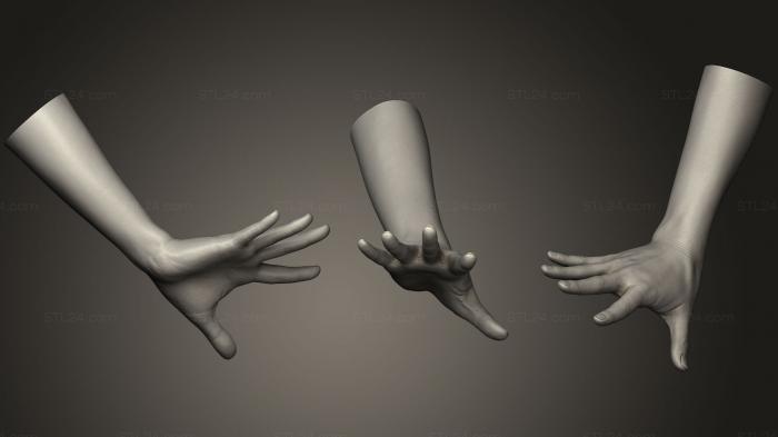 Anatomy of skeletons and skulls (Realistic Female Hand 7, ANTM_0963) 3D models for cnc