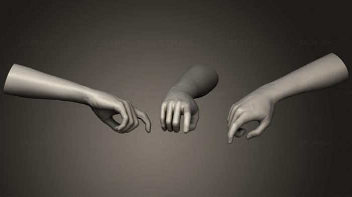 Реалистичная Женская рука 8