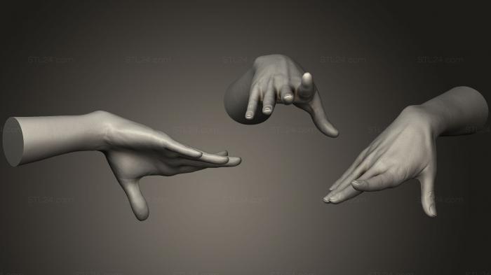 Anatomy of skeletons and skulls (Realistic Female Hand 9, ANTM_0965) 3D models for cnc
