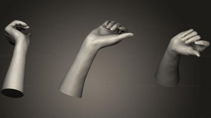 Realistic Female Hand 429