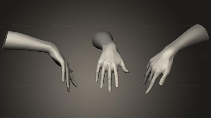 Anatomy of skeletons and skulls (Realistic Female Hand 630, ANTM_0968) 3D models for cnc