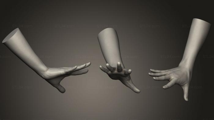 Anatomy of skeletons and skulls (Realistic Female Hand 731, ANTM_0969) 3D models for cnc