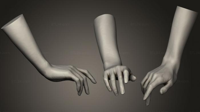 Realistic Female Hand Sculpt 2