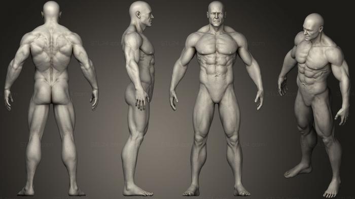 Anatomy of skeletons and skulls (Realistic Male Anatomy Base 01, ANTM_0974) 3D models for cnc