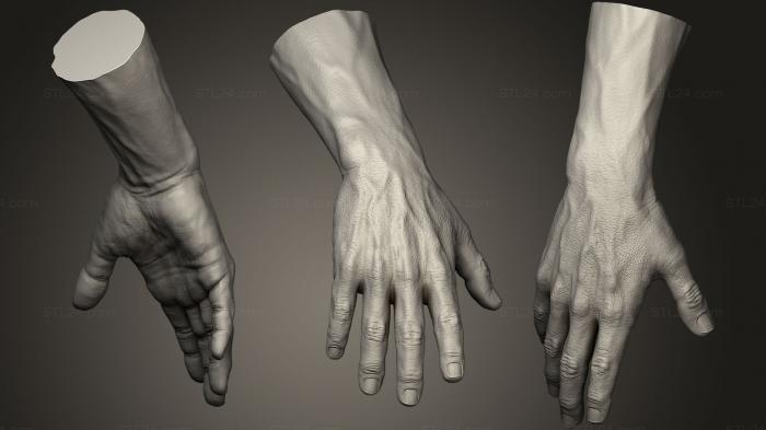 Anatomy of skeletons and skulls (Realistic Male Hand 1, ANTM_0975) 3D models for cnc