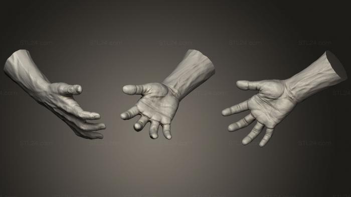 Анатомия скелеты и черепа (Реалистичная Мужская Рука 2, ANTM_0976) 3D модель для ЧПУ станка