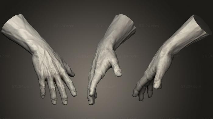 Anatomy of skeletons and skulls (Realistic Male Hand 132, ANTM_0977) 3D models for cnc