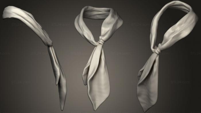 Anatomy of skeletons and skulls (Scarf for Character 18, ANTM_1001) 3D models for cnc