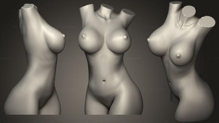 Анатомия скелеты и черепа (Скульптура тела сексуальной обнаженной женщины, ANTM_1023) 3D модель для ЧПУ станка