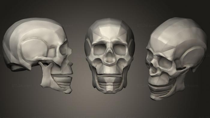 Анатомия скелеты и черепа (Абстрактная практика черепа, ANTM_1033) 3D модель для ЧПУ станка