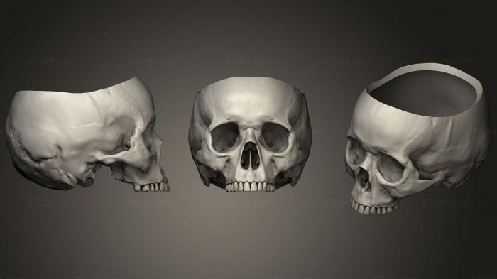 Анатомия скелеты и черепа (Горшок для черепа с дренажными отверстиями!, ANTM_1052) 3D модель для ЧПУ станка