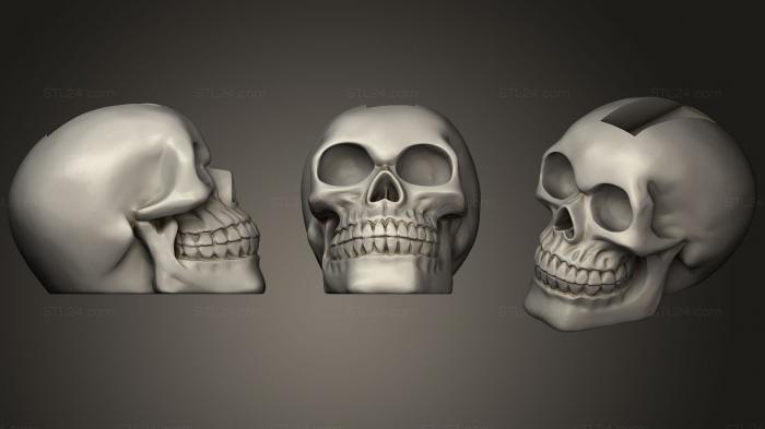 Анатомия скелеты и черепа (Череп с моховой прической ирокез, ANTM_1058) 3D модель для ЧПУ станка