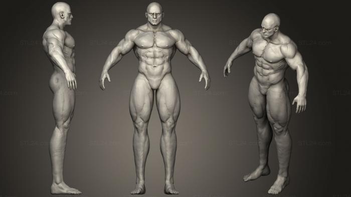 superhero style anatomy base