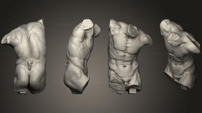 Анатомия скелеты и черепа (Туловище Танцующего фавна 1-го века н. э., ANTM_1121) 3D модель для ЧПУ станка