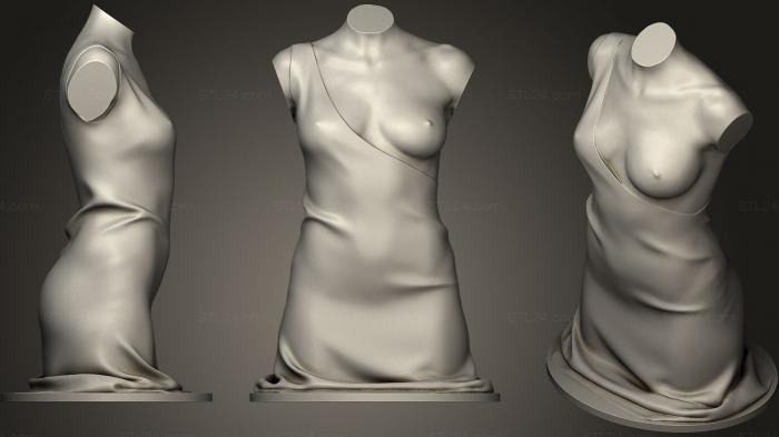 Анатомия скелеты и черепа (Женский торс с халатом, ANTM_1147) 3D модель для ЧПУ станка