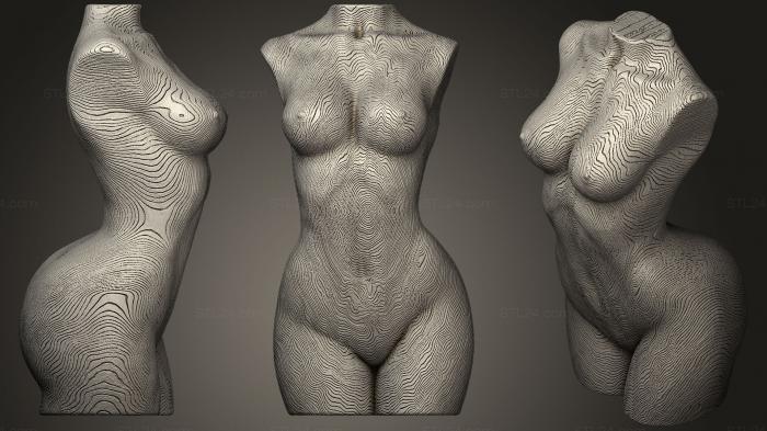 Anatomy of skeletons and skulls (Woman Torso Wood Grain  Nude, ANTM_1148) 3D models for cnc