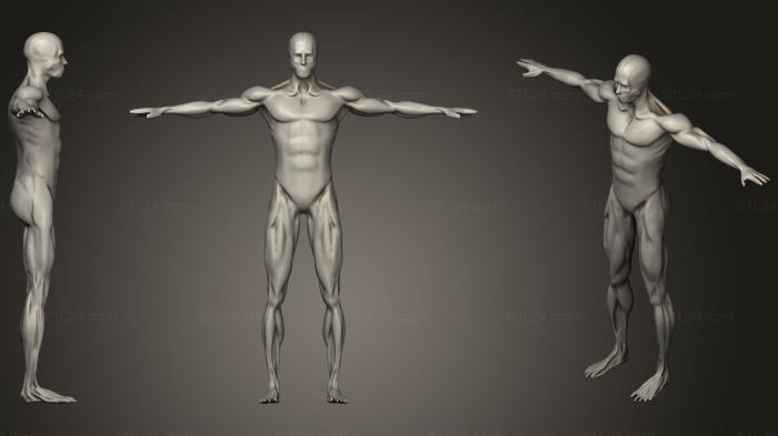 Anatomy of skeletons and skulls (Bicycle Animation Anatomy Male Muscle, ANTM_1173) 3D models for cnc