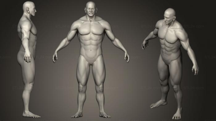 Анатомия скелеты и черепа (Мужское Человеческое Сильное тело, ANTM_1260) 3D модель для ЧПУ станка