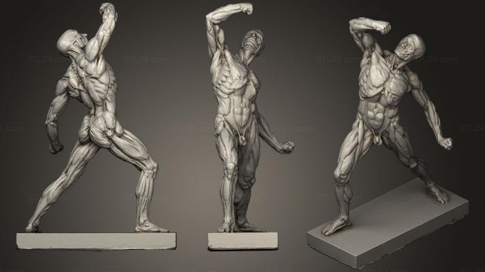  Muscle Body Sculpture