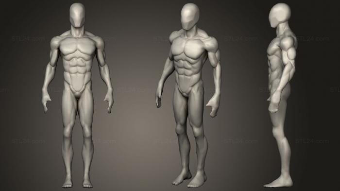 Anatomy study 20 Basemesh Human Male Body