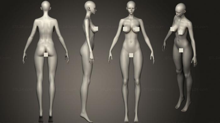 Анатомия скелеты и черепа (Базовое тело в женском стиле аниме, ANTM_1353) 3D модель для ЧПУ станка