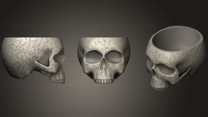 Анатомия скелеты и черепа (Ваза с Черепом Летучей мыши, ANTM_1355) 3D модель для ЧПУ станка