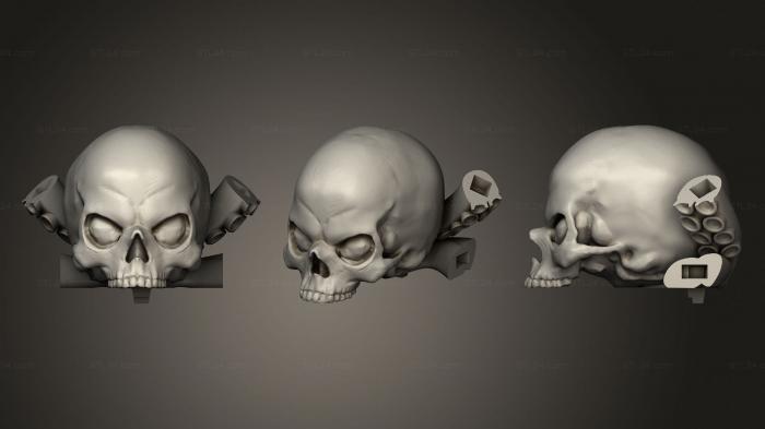 Anatomy of skeletons and skulls (Cap updated 567, ANTM_1370) 3D models for cnc