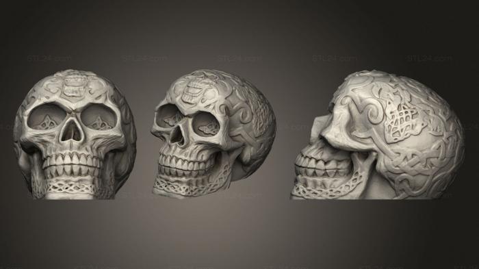 Анатомия скелеты и черепа (Ремикс на Кельтский Череп, ANTM_1375) 3D модель для ЧПУ станка