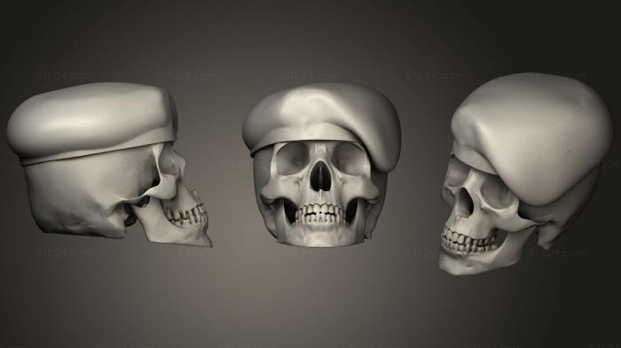 Анатомия скелеты и черепа (CRANEO REPARADO, ANTM_1385) 3D модель для ЧПУ станка