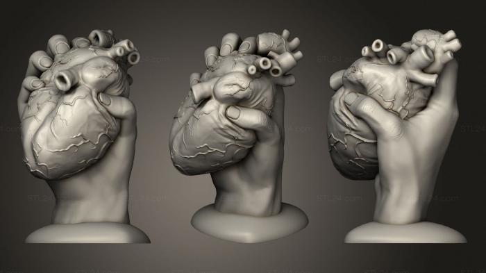 Анатомия скелеты и черепа (Раздавленное Сердце Валентинки V2 Все В Одном Флаконе Без Крови, ANTM_1391) 3D модель для ЧПУ станка