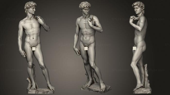 Anatomy of skeletons and skulls (David Michelangelo Galleria dell Accademia Florence Italy, ANTM_1396) 3D models for cnc
