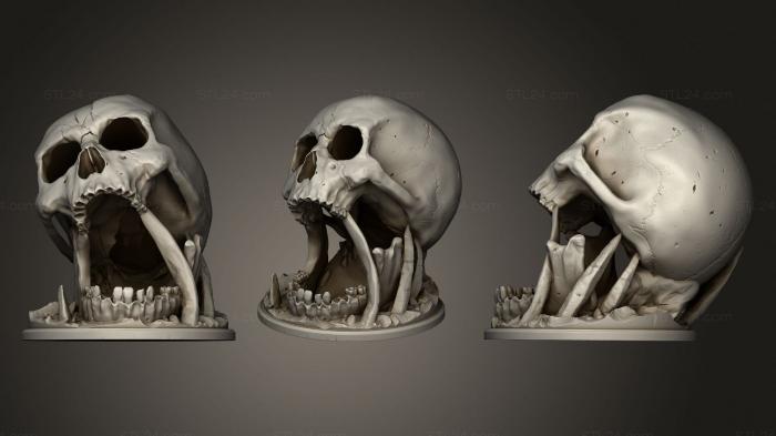 Анатомия скелеты и черепа (Череп Диорама Dice Tower 2, ANTM_1403) 3D модель для ЧПУ станка