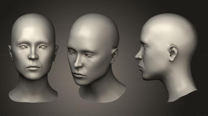 Anatomy of skeletons and skulls (Female Head Basemesh, ANTM_1432) 3D models for cnc