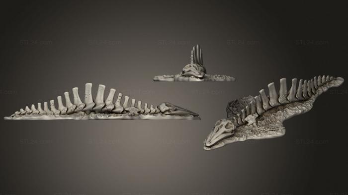 Анатомия скелеты и черепа (Спускающийся В Канализацию Скелет Кита, ANTM_1444) 3D модель для ЧПУ станка