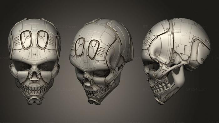 Анатомия скелеты и черепа (Череп Гриблега, ANTM_1448) 3D модель для ЧПУ станка