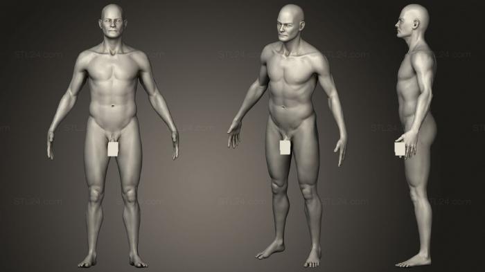 Анатомия скелеты и черепа (Человеческое Мужское Тело, ANTM_1485) 3D модель для ЧПУ станка