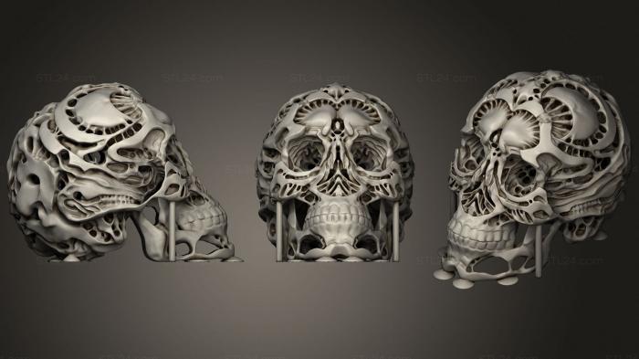Анатомия скелеты и черепа (Череп охотника, ANTM_1501) 3D модель для ЧПУ станка