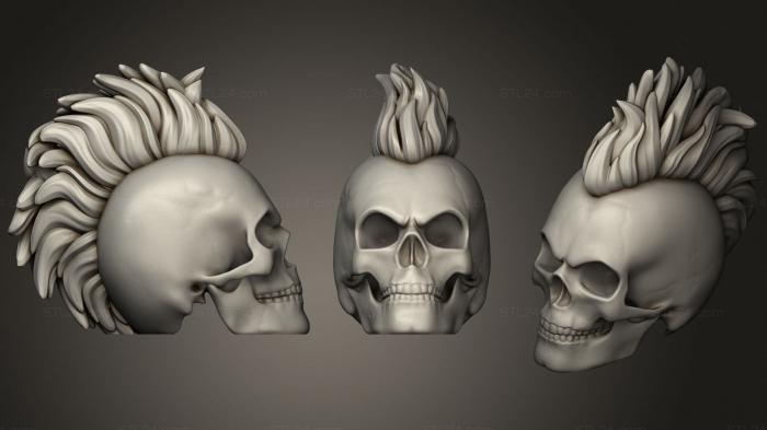 Anatomy of skeletons and skulls (Long Mohawk Punk Skull, ANTM_1507) 3D models for cnc