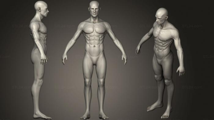 Анатомия скелеты и черепа (Мужская анатомическая фигура, ANTM_1509) 3D модель для ЧПУ станка
