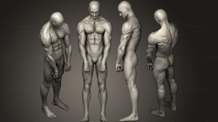 Anatomy of skeletons and skulls (Male anatomy sculpt 1 2, ANTM_1511) 3D models for cnc