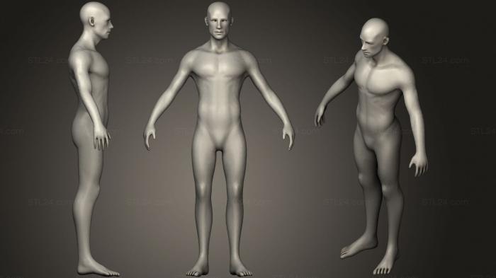 Male base mesh with muscle detail