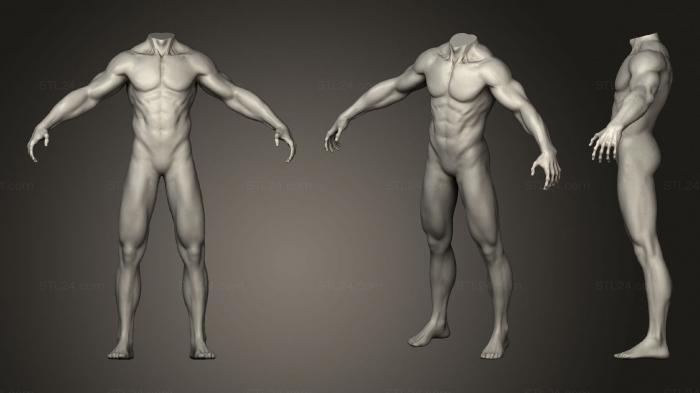 Анатомия скелеты и черепа (Базовая сетка для мужского тела, ANTM_1515) 3D модель для ЧПУ станка